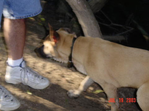 Image013