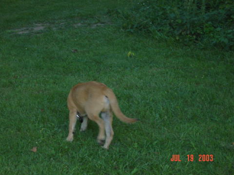Image015