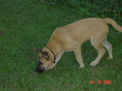 Image016