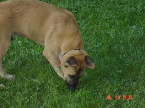 Image017
