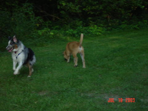 Image018