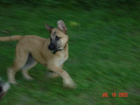 Image019
