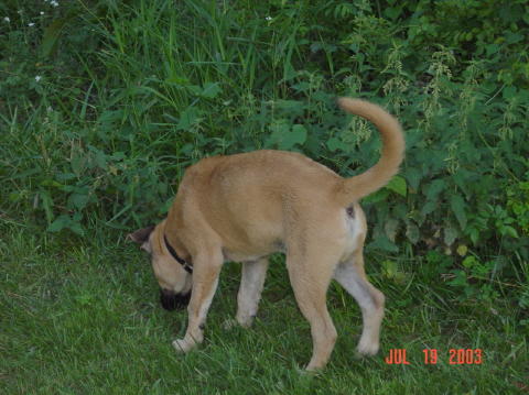 Image020