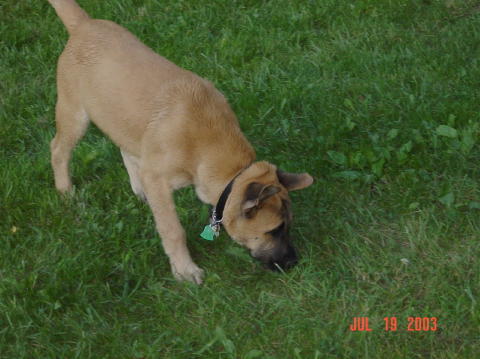 Image021
