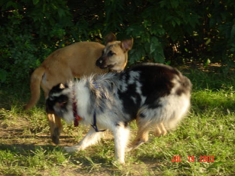 Image022
