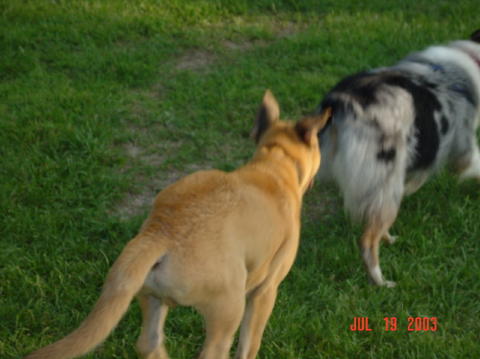 Image023