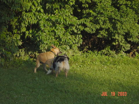 Image024
