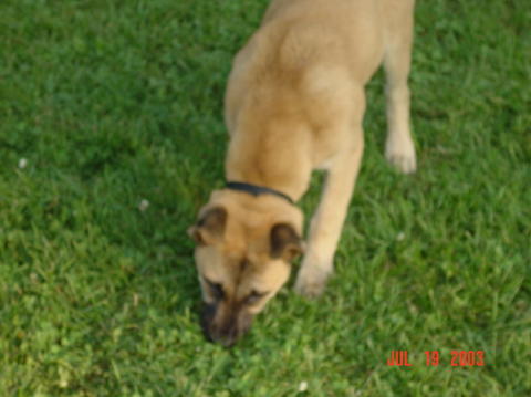 Image025