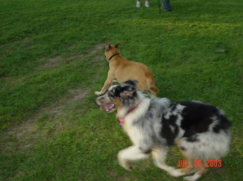 Image027