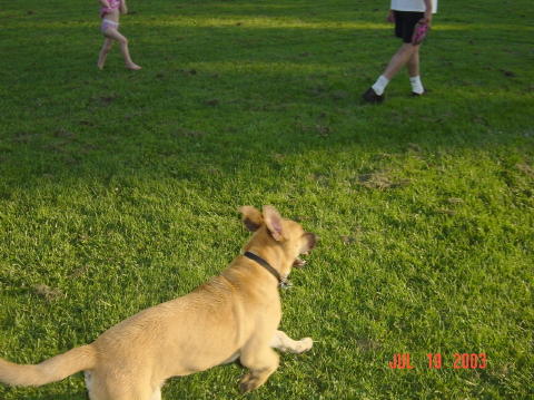 Image028