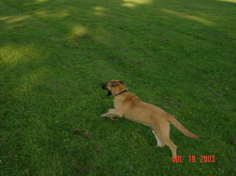 Image029