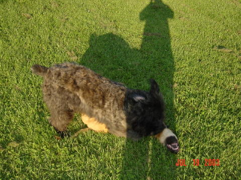 Image030