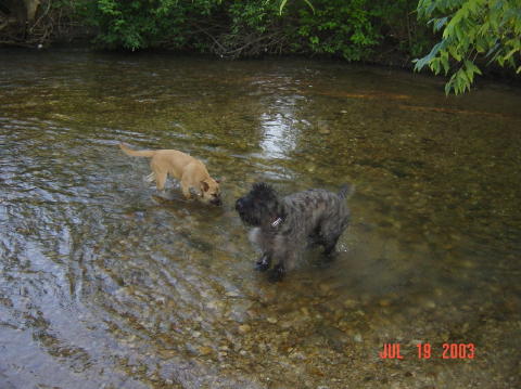 Image032
