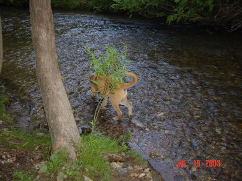 Image033