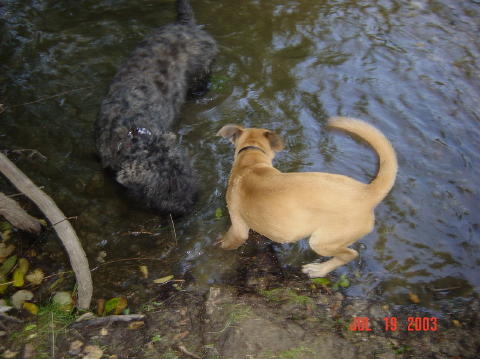 Image034