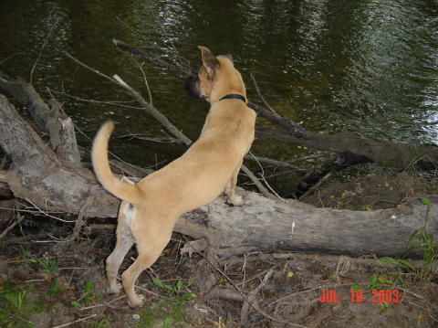 Image035