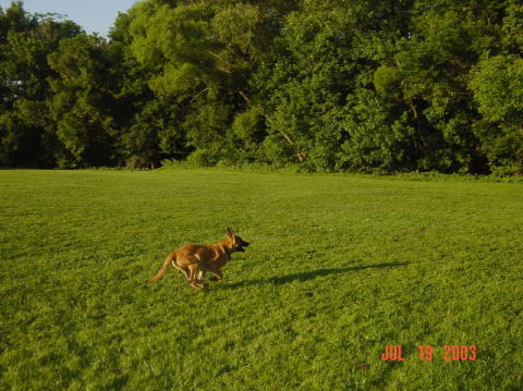 Image036
