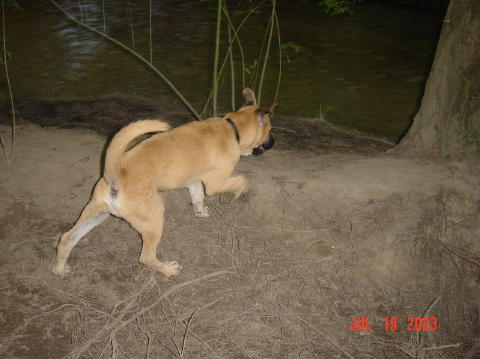 Image037