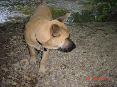 Image038