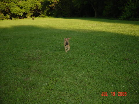 Image041