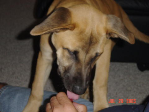 Image003