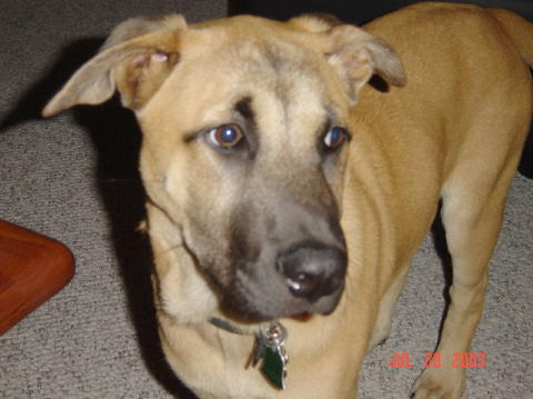 Image005