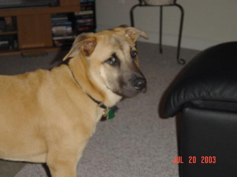 Image006