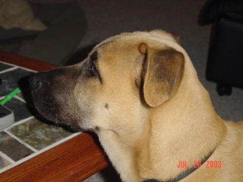 Image007