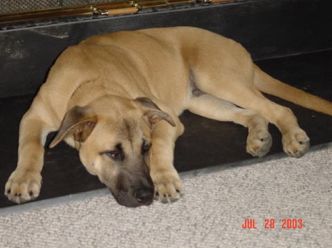 Image009