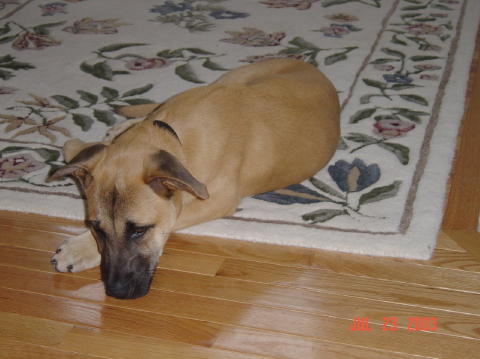 Image010