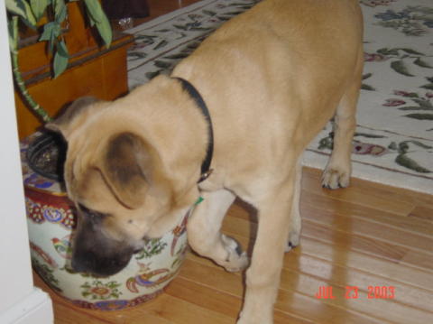 Image011