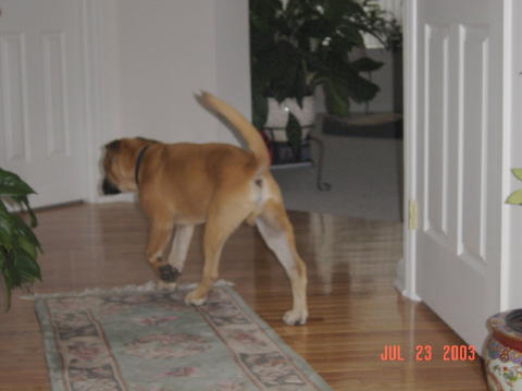 Image013