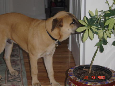 Image014