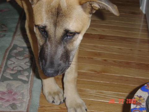 Image015