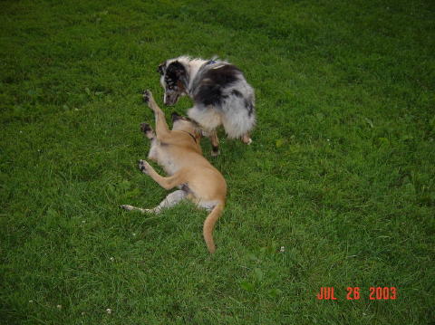 Image001