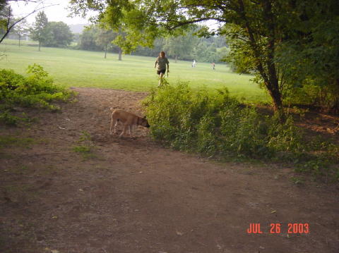 Image003
