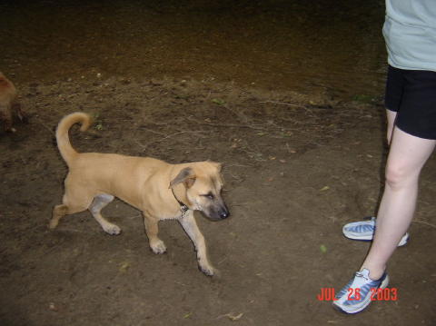 Image005