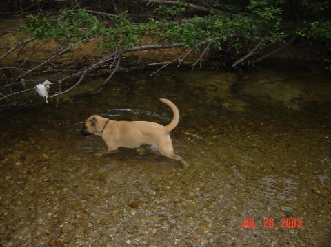 Image007