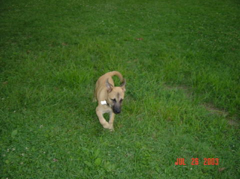 Image008