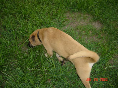 Image009
