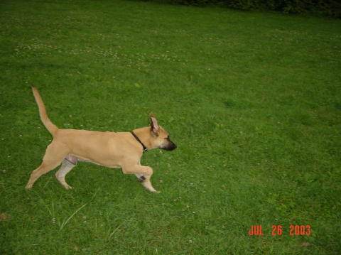 Image010