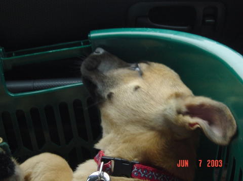 Roswell - Day One002