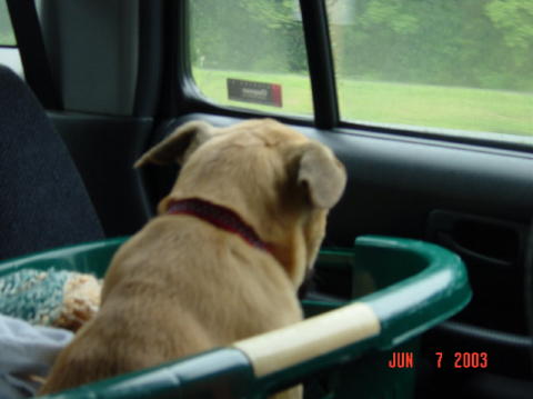 Roswell - Day One005