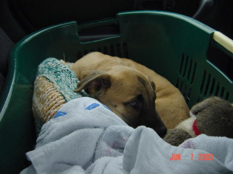 Roswell - Day One006