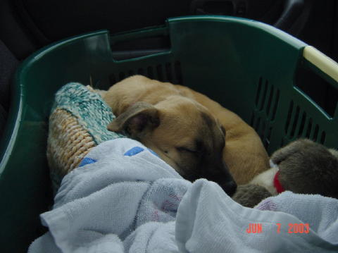 Roswell - Day One007