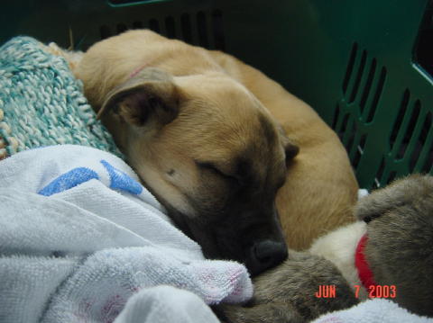 Roswell - Day One008