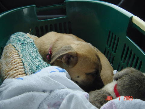 Roswell - Day One010