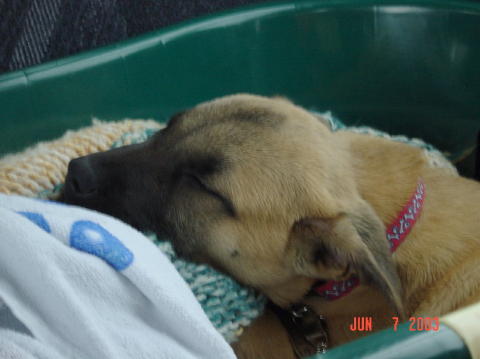 Roswell - Day One011