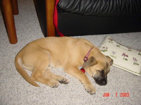 Roswell - Day One026