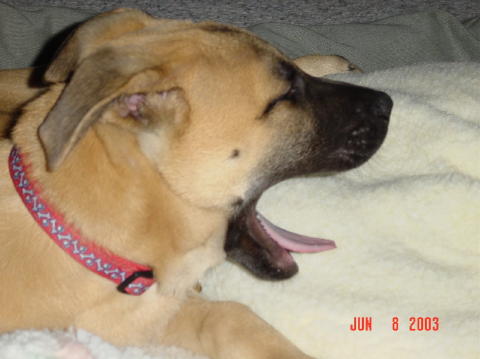 Image039